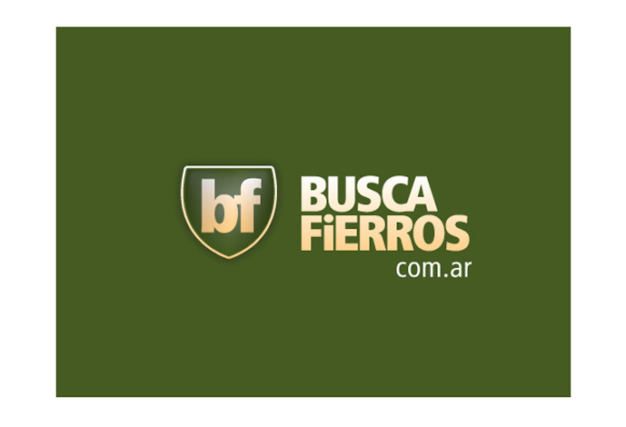 Buscafierros